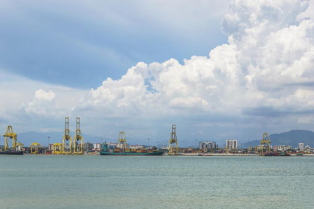 冷凍蝦進口報關(guān)