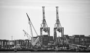 Qshipping國際海運拼箱，全球物流無憂解決方案！