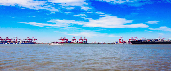 莫桑比克海鮮進口報關(guān)