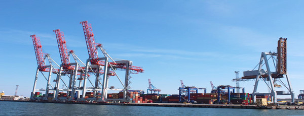 椰蓉進(jìn)口報(bào)關(guān)