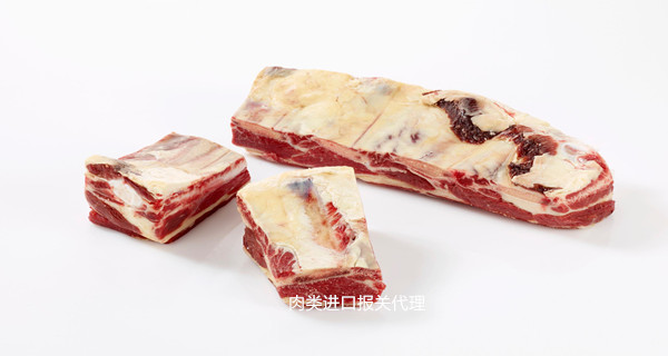 進(jìn)口報關(guān)代理