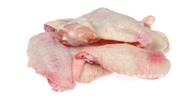 進口報關(guān)代理