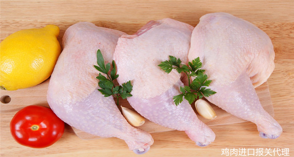 進口報關(guān)代理