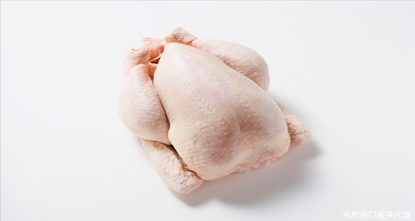 進(jìn)口報關(guān)代理