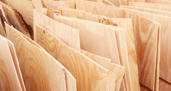 木皮進(jìn)口報(bào)關(guān)