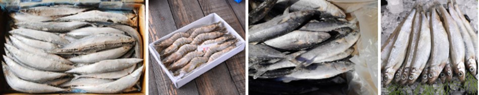 凍海鮮進口報關(guān)