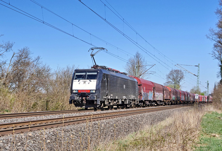 上海報關放行是什么意思