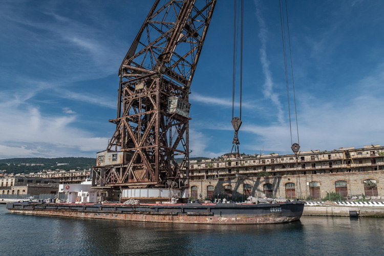 上海報關標簽審核