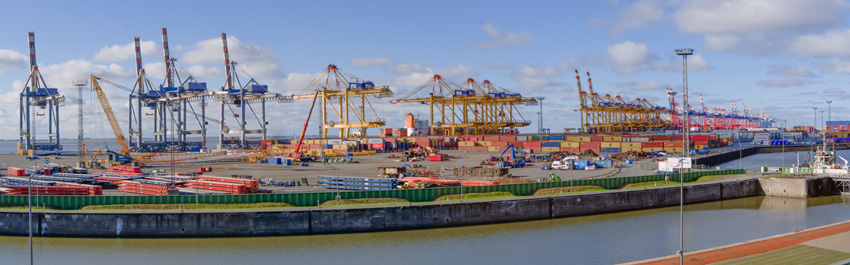 寧波進(jìn)口鳳爪報(bào)關(guān)行地址