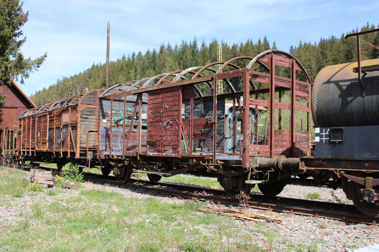 上海報關(guān)公司名字