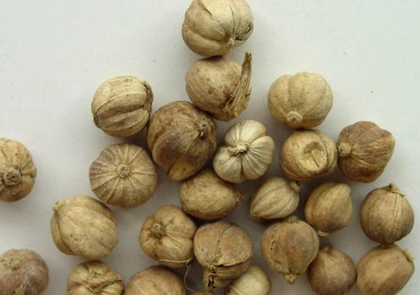 進口報關(guān)公司