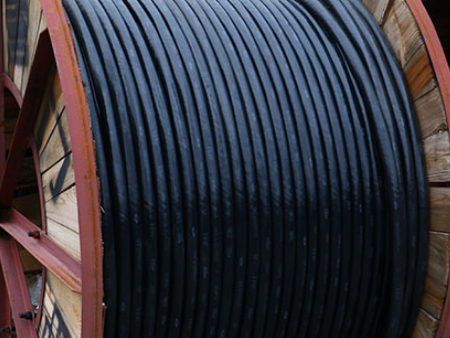 電線進(jìn)口把關(guān)