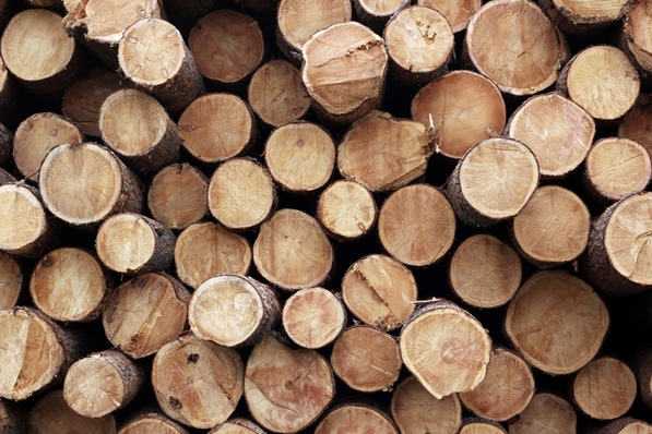 進口木材報關(guān)