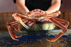 冷凍雪蟹進口報關(guān)[案例]