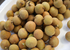 龍眼進(jìn)口報關(guān)[案例]