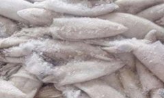 冷凍魷魚(yú)進(jìn)口清關(guān)