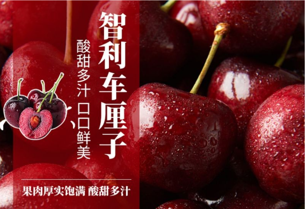 智利車?yán)遄舆M口報關(guān)