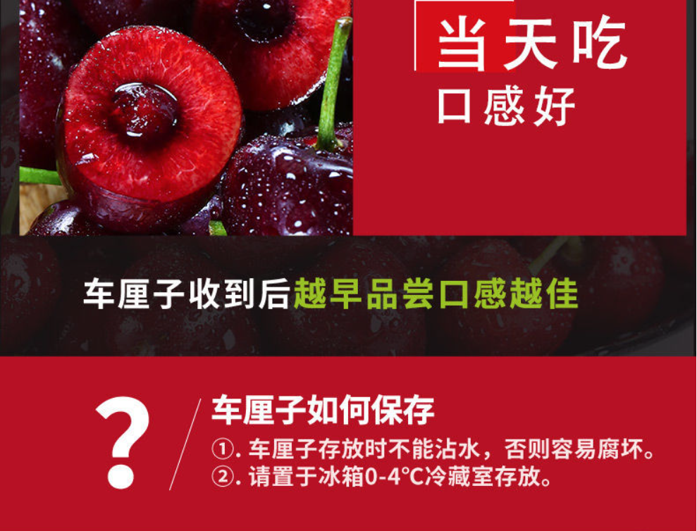 智利車?yán)遄舆M口報關(guān)存放方法