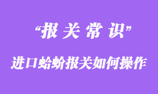 進(jìn)口蛤蚧報(bào)關(guān)如何操作？