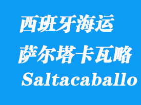 西班牙海運(yùn)港口：薩爾塔卡瓦略（Punta Saltacaballo）港口