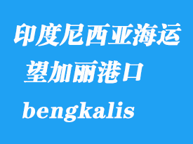 印度尼西亞海運(yùn)港口:望加麗(bengkalis)港口