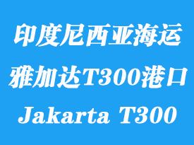 印度尼西亞海運(yùn)港口：雅加達(dá)T300碼頭（Jakarta T300）